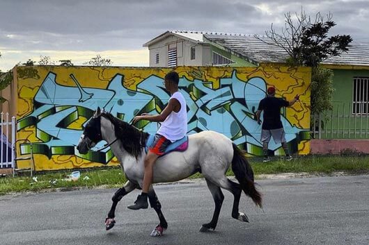 CUARENTENA EN PUERTO RICO: ENTREVISTA RÁPIDA A TRACE